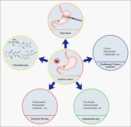 Figure 1 Treatment strategies for gastric cancer. Surgical resection, chemotherapy, traditional Chinese medicine, targeted therapy and immunotherapy.