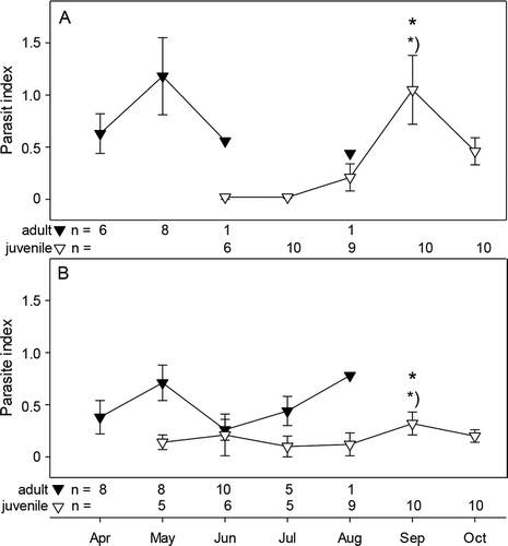 Figure 2. Parasite index of adult (black triangle) and juvenile (open triangle) sticklebacks (mean ± standard error) collected in the Ibbenbürener Aa in 2010 from (A) the freshwater habitat and (B) the saltwater habitat; * = p < 0.05 between habitat at given time point, *) = p < 0.05 from previous time point.