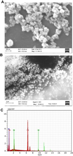 Figure 2 (A) Scanning electron microscopy (SEM) image of iron oxide nanoparticles. (B) Field emission scanning electron microscopy (FE SEM) image of IONPs confirming a spherical shape. (C) Energy-dispersive X-ray profile confirming the elemental composition of IONPs, depicting peaks of iron and oxygen (IONPs in a gold grid). Analysis was conducted at 15 kV.