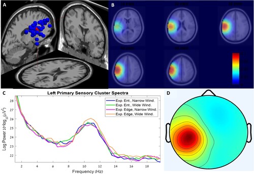 Figure 9. Left primary sensory (lePS) Cluster – (A) Cluster mean DIPFIT dipole location, (B) fMRI presentation of mean DIPFIT dipole location, (C) Cluster mean power spectrum, 10 × log10 (_V2/Hz)), for each condition, (D) topographic scalp map of the cluster.