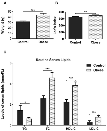 Figure 1 Characteristics of the obese and the control mice. (A), weight; (B), Lee’s index and (C), routine serum lipids. Obese mice, n = 5 and control mice, n = 5. *p < 0.05, **p < 0.01 and ***p < 0.001 when compared between the obese and control mice.