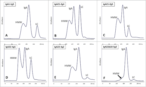 Figure 1. Preparative SEC profiles of protein samples from PER.C6 stable pools expressing IgA1-1g5 (A), IgA21-2g4 (B), IgA21-2g5 (C) and IgA22-4g5 (D) and from HEK293F cultures IgA22-4g2 (E) and IgA22Δ18-5g2 (F) after clarification and KappaSelect purification. HMW = high-molecular weight fraction; LC = light chain.