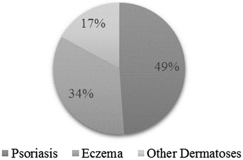 Figure 1. Type of dermatoses treated by BMV plasters.