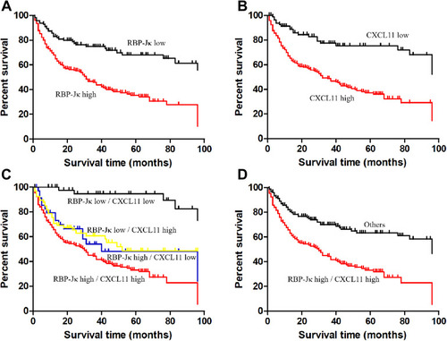 Figure 3 Kaplan-Meier survival curves showing significantly different survival rates for patients with CRC according to RBP-Jκ and CXCL11 expression. (A) Survival curves for RBP-Jκ. (B) Survival curves for CXCL11. (C) Survival curves for all patients divided by the combination of RBP-Jκ and CXCL11 status. (D) Survival curves for RBP-Jκ high/CXCL11 high and other combinations of RBP-Jκ/CXCL11 expression.