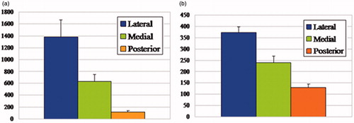 Figure 8. (a) The UF thickness in the lateral, medial, and posterior parts of the ACL tibial insertion (mean values ± SD, micrometers), with significant differences (p < 0.05) among the three regions. The lateral UF zone was significantly thicker compared with medial and posterior parts. (b) The CF thickness in the lateral, medial, and posterior parts of the ACL tibial insertion (mean values ± SD, micrometers), with significant differences (p < 0.05) among the three regions. The CF zone was significantly thicker laterally compared with medial and posterior parts.