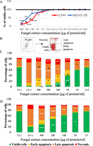 Figure 5 (A) Viability of A549 and BEAS-2B cells after 24-hour incubation with the E. palczewskii fungal extract (MTT method). The viability of the control cells is presented as 100%. * - statistically significant difference compared to the control sample (Mann–Whitney U-test), *P≤0.05; **P≤0.01; ***P≤0.001. a - statistically significant difference compared to the BEAS-2B cells, P≤0.05 (one-way ANOVA with Tukey’s post–hoc multiple comparison test). Data are representative of three independent experiments (with 4–8 samples each). (B) gating strategy for measurement four cell populations: viable, necrotic, early, and late apoptotic. (C) Evaluation of cell viability in the A549 line after 24-hour incubation with the E. palczewskii fungal extract. (D) Evaluation of cell viability in the BEAS-2B line after 24-hour incubation with the E. palczewskii fungal extract. C(-) - negative control (without the addition of the fungal extract), C(+) - positive control (DMSO [5%]). * - statistically significant difference compared to the negative control sample (Mann–Whitney U-test), *P≤0.05; **P≤0.01; ***P≤0.001. a - statistically significant difference compared to the BEAS-2B cells, a - P≤0.05; A - P≤0.01 (one-way ANOVA with Tukey’s post–hoc multiple comparison test). Data are representative of three independent samples.