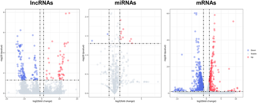 Figure 4 The volcano plots show DE lncRNAs, DE miRNAs, and DE mRNAs between the IL-27 group and control group. Red dots denote upregulated genes, blue dots denote downregulated genes and grey dots denote stable expressed genes in IL-27 group compared with control group.