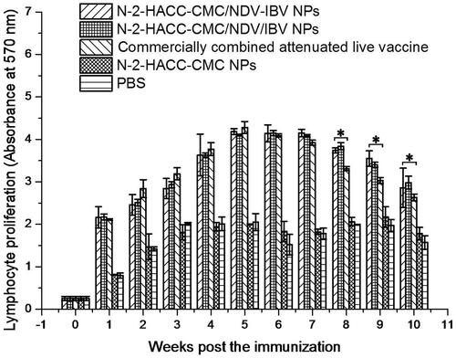 Figure 3. Analysis of proliferation of lymphocytes in the SPF chickens nasally immunized with the N-2-HACC-CMC/NDV-IBV NPs, N-2-HACC-CMC/NDV/IBV NPs, commercially combined attenuated live vaccine, N-2-HACC-CMC NPs, and PBS. Values represent mean ± SD (n = 3). *p < .05 and **p < .01 indicate statistically significant differences when compared to commercially combined attenuated live vaccine.