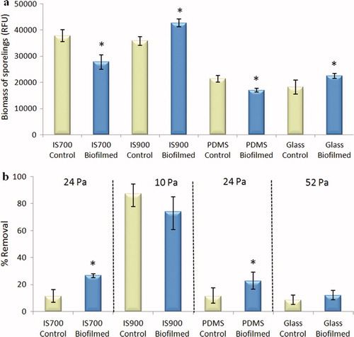 Figure 7. Effect of biofilms of C. marina on the settlement and the adhesion strength of sporelings of U. linza on a range of test surfaces. (a) Mean biomass of sporelings on control (non-biofilmed) and biofilmed surfaces before exposure to shear obtained from the measure of chlorophyll fluorescence (RFU) on six replicate slides. Error bars represent ± 2×SE. (b) Mean percentage removal of sporelings on control and biofilmed surfaces, after exposure to a shear stress of 10 Pa for IS900, 24 Pa for PDMS and IS700 and 52 Pa for glass obtained from RFU determinations on six replicate slides before and after exposure to flow. Error bars represent ± 2×SE calculated from arcsine-transformed data. For the two figures, asterisks show the values that are significantly different to control surfaces (ANOVA, p < 0.05).