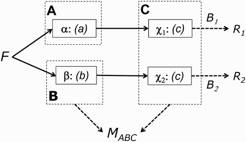 Figure 5. Example network of modules, where different inputs to Module C, by virtue of different “upstream” modules A and B, mean that a reversed association between Factor F and measurements of two regions R 1 and R 2 (or any other discriminative data pattern considered in Figures 3–4) does not constitute evidence that regions χ1 and χ2 implement distinct modules, only that at least two different modules exist somewhere within the network including, or upstream of, χ1 and χ2 (see text). Note that the arrows between α and χ1, and between β and χ2, refer to the direction of causal influence (but not to a specific form of temporal interaction, e.g., staged or cascaded)—that is, a feedforward architecture here. In the alternative case of bidirectional arrows—that is, a fully interactive architecture where the outputs of Process c could also affect the outputs of Processes a and b—the same reversed association across measurements R 1 and R 2 would only constitute evidence of more than one module somewhere in the network (i.e., could arise from any two processors whose influence could be traced directly or indirectly to χ1 and χ2; see text).