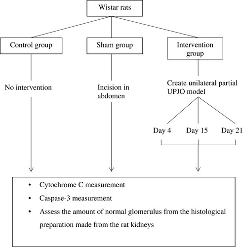 Figure 1 Research flow.