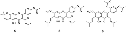 Figure 2. Structures of cudraflavone A acetate (4), cycloartocarpin acetate (5) and artocarpin diacetate (6).