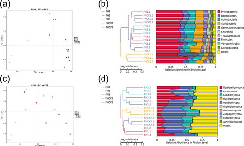 Figure 4. Principal coordinate analysis (PCoA) (a, c) and hierarchical clustering (b, d) of microbial communities based on an unweighted pair-group method with arithmetic mean (UPGMA) clustering analyses at the phylum level for five different soil treatments. FH1, FH2, FH3, FHCK1, and FHCK2 represent the rhizosphere soil from the one-year cultured, two-year consecutively monocultured, three-year consecutively monocultured, control with no Atractylodes lancea cultivation, and one year after the harvest of the rhizosphere soil plots, respectively. a, b – Bacteria; c, d – Fungi