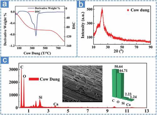 Figure 3. The TGA (a), XRD (b) and EDS (c) spectra of cow dung.