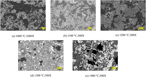 Figure 13. Microstructure of heat-treated pre-reduced pellets showing the porosity loss with increasing the heat treatment temperature (backscattered electron micrograph).