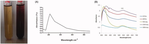 Figure 1. UV-vis spectral analysis of AuNPs synthesized from AL.