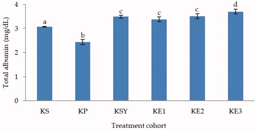 Figure 3. Effect of P. odoratissimus seed (POS) extract on total albumin levels of serum rats induced by paracetamol. KS: healthy control; KP: hepatotoxic control; KSY: silymarin control; KE1: POS extract 300 mg/kg; KE2: POS extract 600 mg/kg; KE3: POS extract 900 mg/kg.