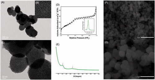 Figure 2. (A–C) TEM images of CMS, (B) is the local structure of (A); (C) is the amplifying image of (A); (D) nitrogen adsorption/desorption isotherm and pore size distribution curve of CMS; (E) SAXD pattern of template-free CMS; (F–G) SEM images of CMS.