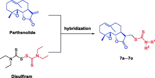 Figure 3. Design of compounds 7a–7o.