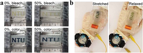 Figure 5. (a) Photographs of the inkjet-printed, letter (‘NTU’)-shaped WO3 on ST conductors in discharged (bleached) and charged (colored) states under 0% and 50% tensile strains. (b) Photographs show the operation of the watch by a single cell of the inkjet-printed, letter (‘NTU’)-shaped WO3 electrode (negative electrode) that was mounted on the glove and connected to a Pt wire as the counter electrode, demonstrating the electrochromic and power delivery functions under both stretched and relaxed states.