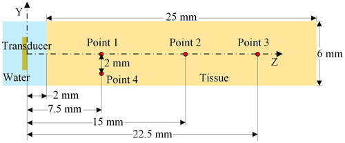 Figure 3. Schematic of the model used in the numerical simulation of the CBUS acoustic and thermal field.