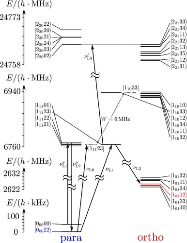 Figure 5. Level scheme for some low lying states of ClSSCl. Para states are shown in the column above ‘para’, ortho states above ‘ortho’ and selected eigenstates (symbol |JKaKcIF〉) are shown in the middle. States denoted by the symbol |JKaKcIF] correspond to zero-order states of pure para and ortho character, whereas eigenstates are assigned as approximately para or ortho according to the dominant contribution (usually larger than 99%).