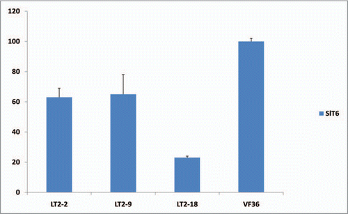 Figure 5 Gene expression levels in the leaves of tomato SlWOX4 overexpressors. Young leaves at the same stages (1 cm long) from three independent transformants (T1–T3) overexpressing SlWOX4 transcripts and from non-transformant VF36 were collected. Quantitative real-time RT-PCR data of SlT6 transcript accumulation is shown relative to the level in the leaves of VF36, which were set to 100%. Three biological replicates were assayed for all samples and normalized to SlACTIN transcript level as described in Ji et al.Citation9