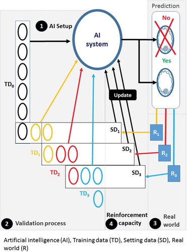 Figure 2. Explanatory diagram of the reinforcement process. 1- Artificial intelligence (AI) setup: First, the variables of the model are calculated to allow the attribution of a DynScore for each embryo by the artificial intelligence (AI system) from a first training data group (TD0). 2- Validation process: the fate of the embryos is predicted in batches, these batches are the setting data groups (SDx), each SDx corresponds to a set of embryos corresponding to one week of operation. 3- Real world: The real fate of each embryo is known later in the real world (Rx). A new training data group will be created. 4- AI reinforcement: This training data group includes the embryos that have just been ‘predicted’ (TDx) but whose real future is known, which are added to the previous training data group (TDx-1), from which embryos from the oldest week is subtracted. A new SD, SDx, is therefore created which will allow the AI system parameters to be recalculated (update). The following setting data group SDx+1 is predicted with this new AI system. This process is restarted after each TD