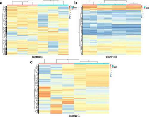 Figure 1. Heatmaps for differently expressed circRNAs (DECs) related to lung adenocarcinoma (LUAD) in three microarray datasets. Top color represents grouping, red: disease group, blue: control group; Orange in the heatmap: upregulated expression, blue: downregulated expression.