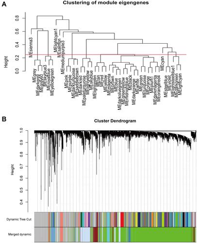 Figure 2 Construction of co-expression modules by WGCNA package in R. (A) The cluster dendrogram of module eigengenes. (B) The cluster dendrogram of genes in TCGA. Each branch in the figure represents one gene, and every color below represents one co-expression module.
