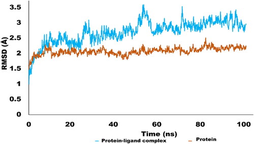 Figure 6. RMSD trajectory analysis for protein (brown coloured trajectory), protein ligand complex (blue coloured trajectory).