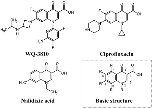 Figure 1. Chemical structures of quinolones used in this study.