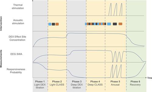 Figure 3 Sedation protocol. The sedation protocol consists of six phases. In Phase I, dexmedetomidine will be escalated using TCI, causing a subsequent increase in SWA and impairments in the behavioral task. During Phase II, responsive participants showing EEG slow-waves will be presented with CLASS conditions while they are still performing the behavioral task. Upon entry into Phase III, dexmedetomidine will be further escalated to achieve loss of behavioral responsiveness. Phase IV represents the core of the experiment. Participants unresponsive and demonstrating EEG slow-waves will be presented with multiple blocks of CLASS conditions during a stable dexmedetomidine effect site concentration. Targeting of this dexmedetomidine concentration will be continued during Phase V. Participants will be aroused three times by thermal stimulation during CLASS. In Phase VI, the dexmedetomidine infusion will stop and resting EEG will be recorded as participants recover full responsiveness during the behavioral task. Blue, black and orange squares represent in-phase, antiphase and sham conditions, respectively. The order of CLASS conditions will be randomized across participants.