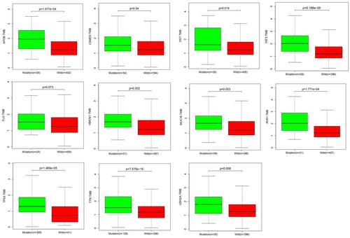 Figure 2 Association between gene mutations and TMB. Most of the mutated genes (APOB, CSMD3, DST, FAT3, HMCN1, MUC16, RYR1, TP53, TTN and USH2A) were significantly correlated with an increased TMB. The p-value is marked in each plot.