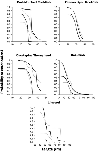 FIGURE 8. Comparison of the 95% confidence interval limits for the size-selection curves quantifying a fish’s probability of entering the cod end of a trawl equipped with one of two bycatch reduction devices (BRD-1 and BRD-2), as estimated for five roundfishes (length = cm TL for Shortspine Thornyheads and Lingcod; cm FL for all others). Solid black lines represent BRD-1 (6.4- × 25.4-cm grid size); solid gray lines represent BRD-2 (6.4- × 30.5-cm grid size).