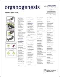 Cover image for Organogenesis, Volume 13, Issue 4, 2017