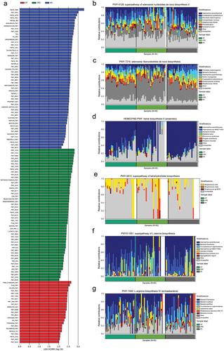 Figure 6.  Enrichment of functional pathways of differential bacteria among the three groups. (a) LDA values of different pathways in samples from the three groups. (b,c) Relative contribution of tongue coating microbes to pathways in CRC patients. (d,e) Relative contribution of tongue coating microbes to pathways in CP patients. (f,g) Relative contribution of tongue coating microbes to pathways in HC samples. Enrichment was defined as p < 0.05, q < 0.1, and LDA > 2.0. HC: healthy controls, CP: patients with colorectal polyps (CP), CRC: patients with colorectal cancer.