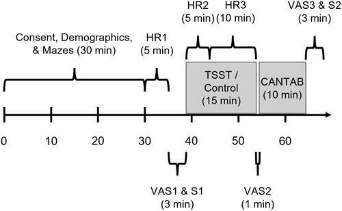 Figure 1. Timeline of study procedures. HR: heart rate recording interval; VAS: visual analogue scale subjective stress rating; S: saliva sample; TSST: Trier Social Stress Test; Control: control tasks; CANTAB: spatial working memory subtest of the Cambridge Neuropsychological Test Automated Battery.