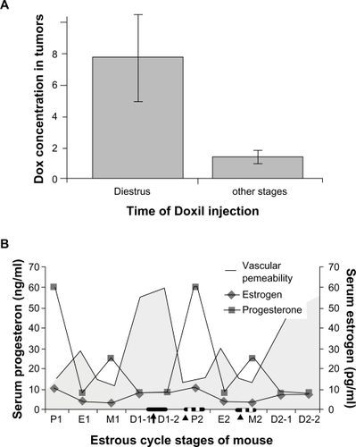 Figure 1 The time of Doxil administration during mouse estrous cycle and its effects on drug retention in 4T1 tumors. A) The Dox concentrations in 4T1 tumors when Doxil is injected during diestrus stage or other estrous stages. B) The dynamic changes of serum progesterone and estrogen levels during the estrous cycle. The concentrations of P4 and E2 in mice were previously published.Citation13 The best time for Doxil injection is indicated by the black arrow and bar. The worst times for Doxil injection are indicated by small triangles and dotted bars.
