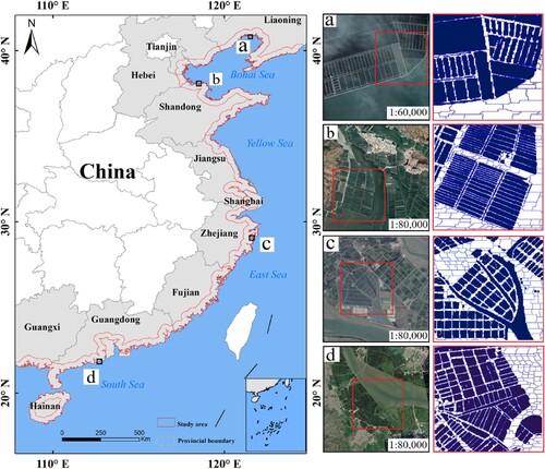Figure 8. Segmentation results in three typical area. (A) Liaodong Bay, Liaoning Province; (B) Bohai Bay, Shandong Province; (C) Sanmen Bay, Zhejiang Province; (D) Jiao Bay, Guangdong Province.