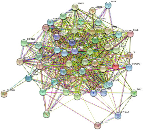 Figure 3. Protein-protein interaction (PPI) network of 51 overlapping genes.