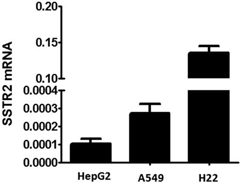 Figure 2. Quantitative PCR analysis of expression levels of SSTR2 in HepG2, A549 and H22 cells.