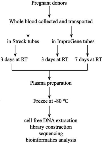 Figure 3. Experimental scheme. Whole blood from 38 pregnant donors was collected into Streck tubes and ImproGene tubes, respectively, 10 mL for each tube, and transported to Guangzhou Darui Biotechnology Co., Ltd by S.F. Express Company. The blood in Streck tubes was tested at day 3 after blood draw, while the blood in ImproGene tubes was processed at day 3 and day 7 after blood draw. All of the tubes were stored at room temperature with 10 times inversion, twice a day.