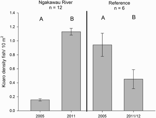 Figure 5. The standard error of the mean (±1 SEM) density of kōaro at sites within and adjacent to the Ngakawau River system in 2005 and 2012. Significant (P < 0.05) differences between groups derived from within treatment pairwise t-tests are indicated by letters.