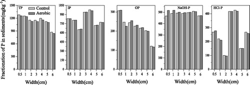Figure 5. Fractionation of P in the upper 4 cm sediments with and without aerobic treatment.