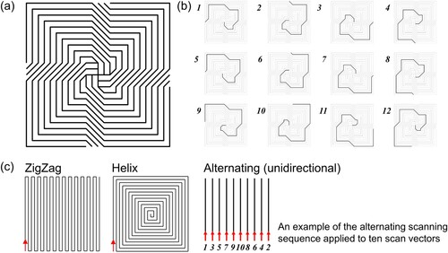 Figure 3. (a) A rotating spiral scan pattern inspired by the spatiotemporal pattern of the prey population appearing in the predator-prey simulation. (b) A sequence of twelve scan vectors composing the rotating spiral scan pattern. A laser draws the scan pattern sequentially, from outside to inside (or reversely). The laser will be turned off at the end of each scan vector and turned on again after moving to the start point of the next scan vector. (c) Two benchmark scan patterns, called zigzag (left) and helix (right) and an alternating unidirectional scan pattern introduced by Ramos et al. (Ramos, Belblidia, and Sienz Citation2019).