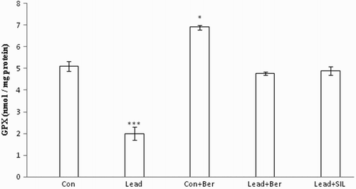 Figure 6 Effects of long-term berberine administration on GPx activity in liver homogenates of control, lead, berberine (50 mg/kg) treated control (Control + Berberine), berberine (50 mg/kg) treated lead (Lead + Berberine), and silymarin (200 mg/kg) treated lead (Lead + SIL) groups (n = 7) at 8 weeks after treatments. The data are represented as mean ± SEM. *P < 0.05 and ***P < 0.001 (as compared to control group).