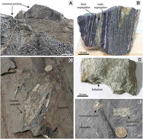 Figure 2. A, Ram Rock is a columnar-jointed basanite plug that hosts crust and mantle xenoliths. B, This schist xenolith in the basanite displays dark mafic domains and yellow felsic domains. Purple layers are cordierite. C, Crustal xenolith in outcrop of the basanite. Coin is 26.5 mm. D, Sample of the regional Otago Schist collected from near to the basanite outcrop. E, Outcrop of basanite with a small peridotite xenolith and small crustal xenolith. Coin is 26.5 mm.