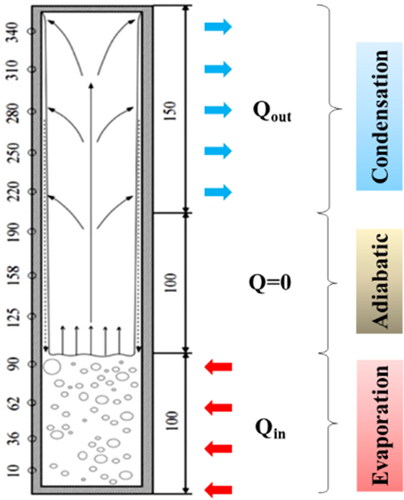 Figure 1. Two-dimensional representation of a TPCT [Citation46].