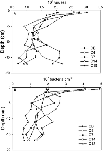 Figure 3.  Depth distribution of virus-like particles (A) and bacteria (B) at the individual stations.